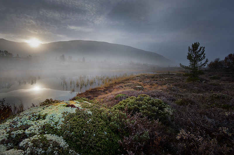 Break of dawn