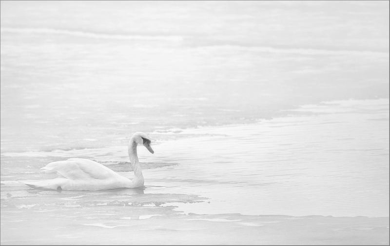 Entering Spring