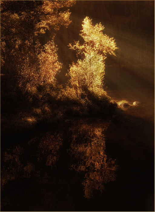 Golden Touch