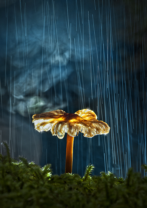 Heavy rain