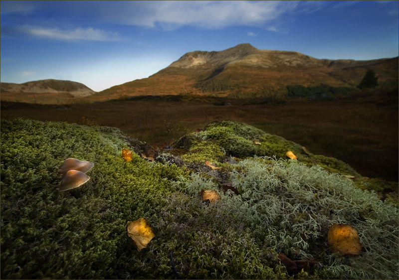 Mont Automne