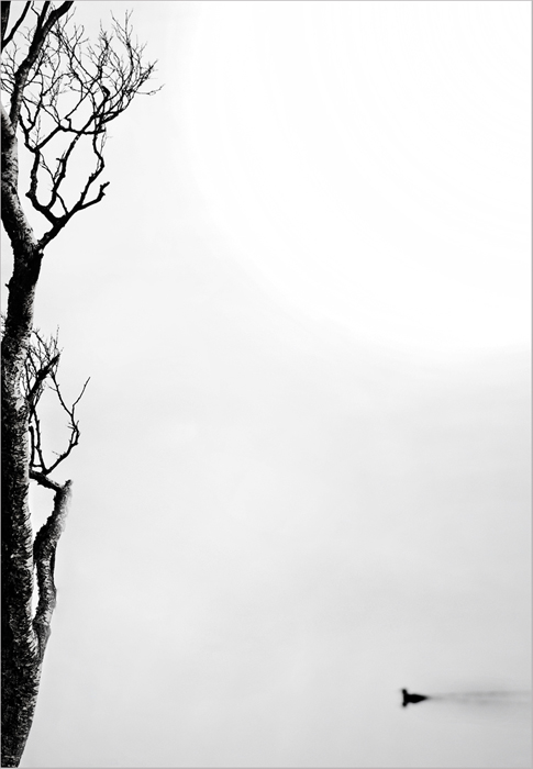 One