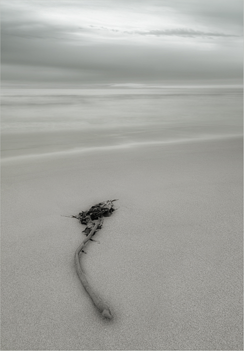 Stranded