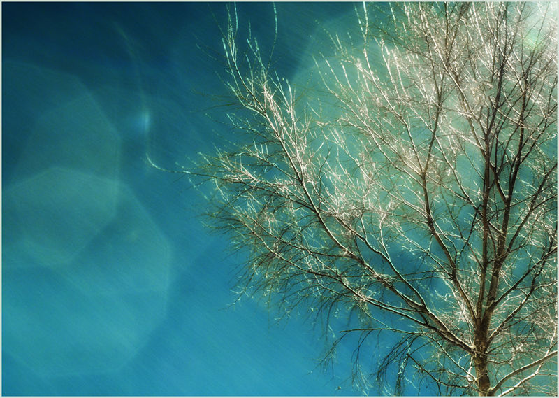 Subdued In Pseudowinter