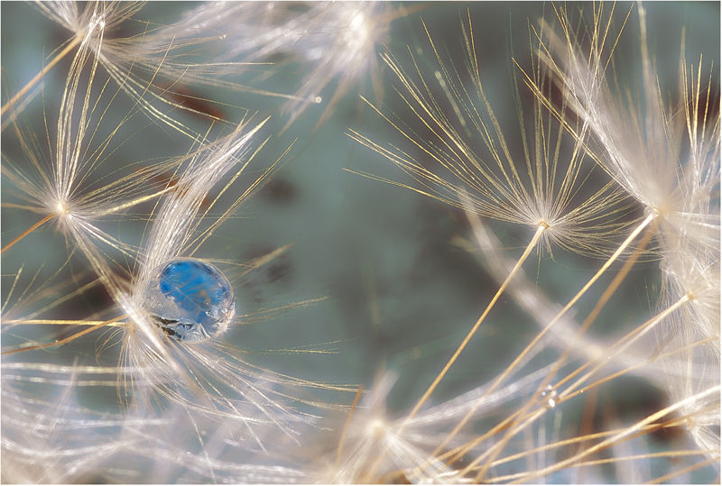 The Tear Of Terra