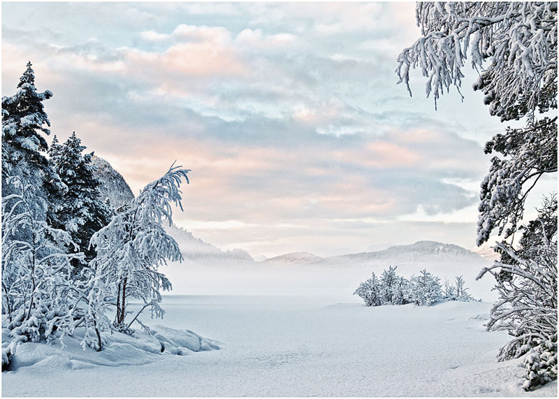 Vast White