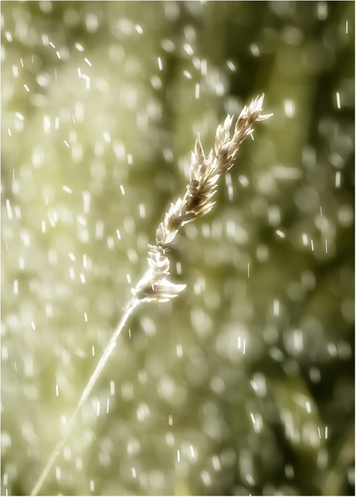Waterplay