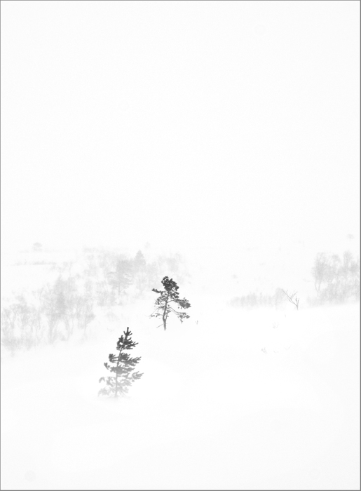 White Turmoil
