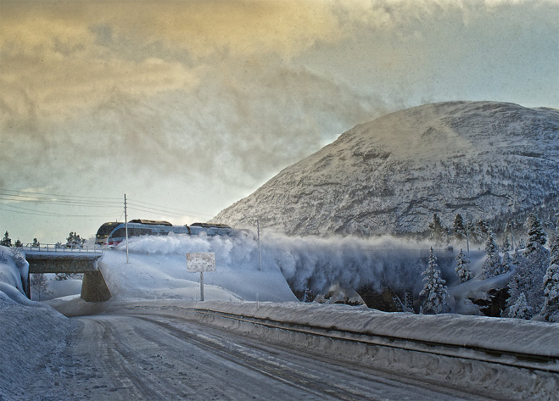 Winterspeed
