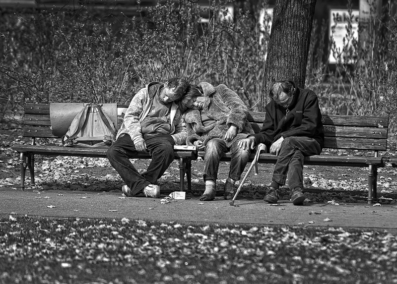 A Kind Of Life