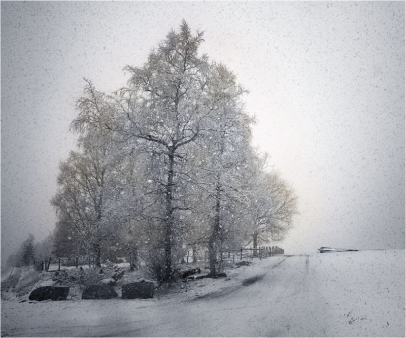 April Snow