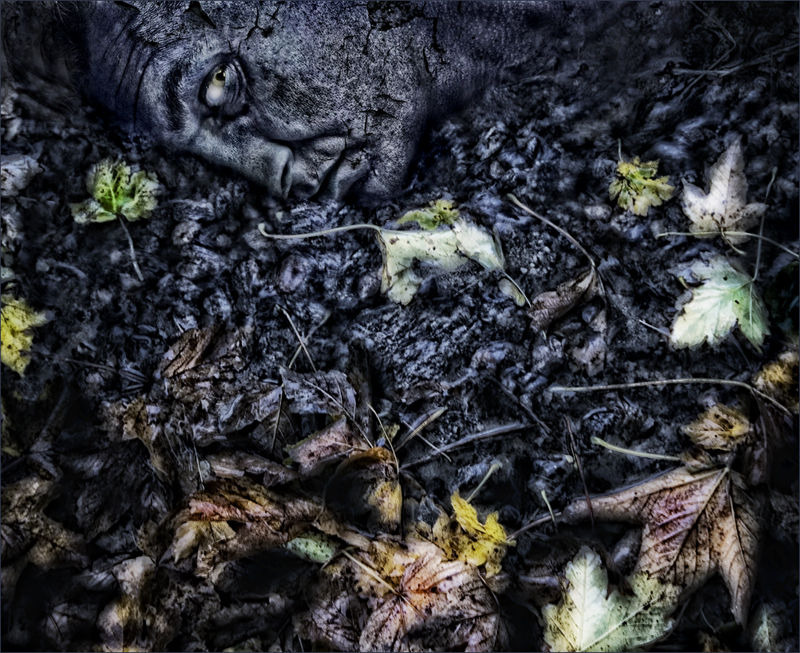 Decay