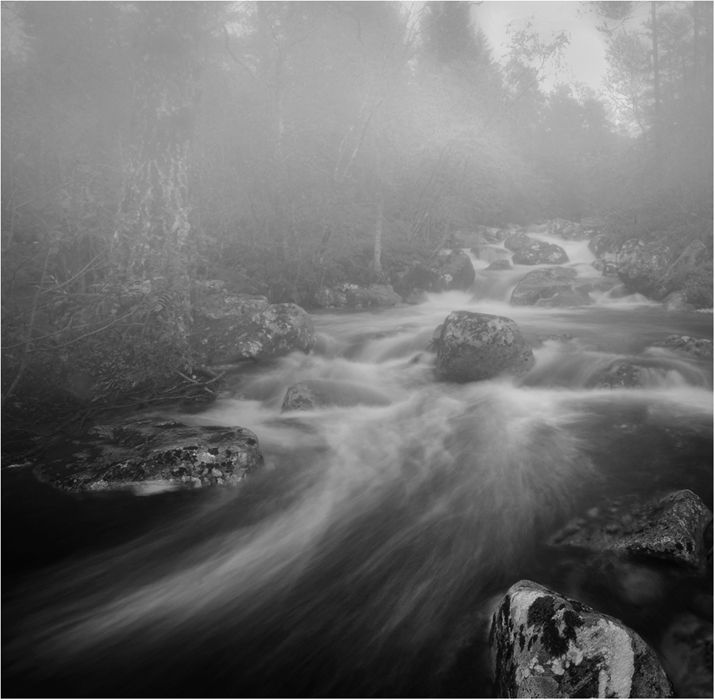 Foggy Stream