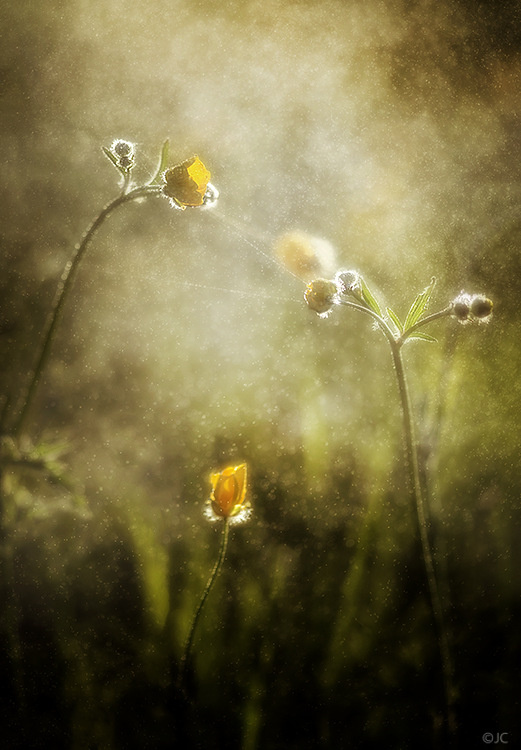 Growing up II