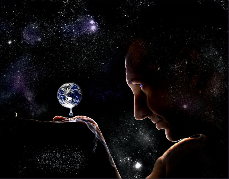 Human Behaviour