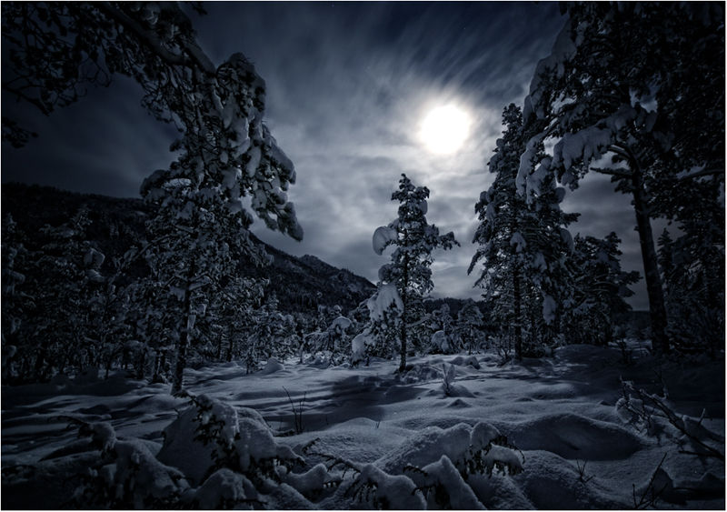 Moonlight Shadow