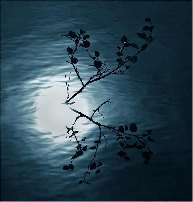 Moonlit Autumn