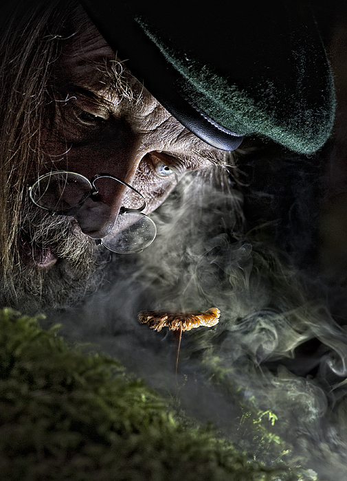 Mycologist since 1968