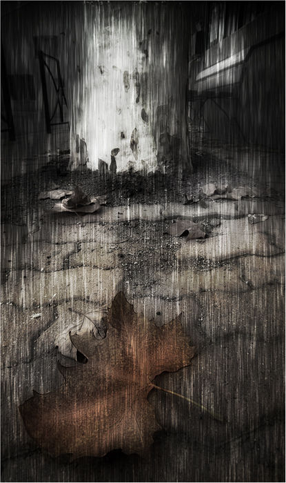November Rain