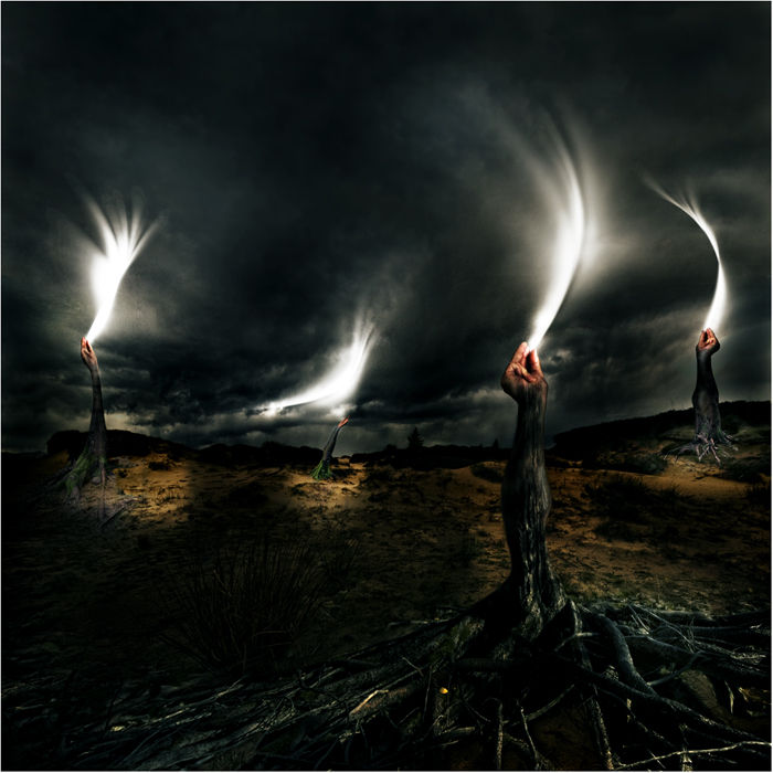 Release The Light