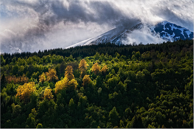 Seasons In The Sun