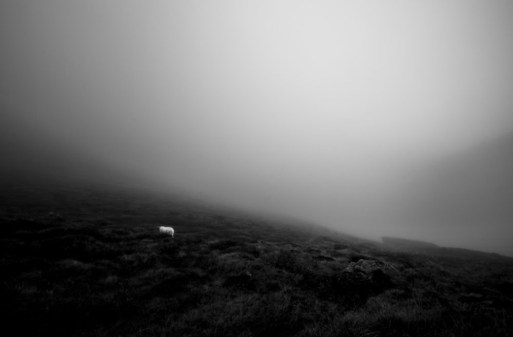 Seeking