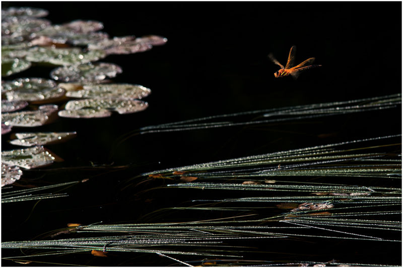 September Flight