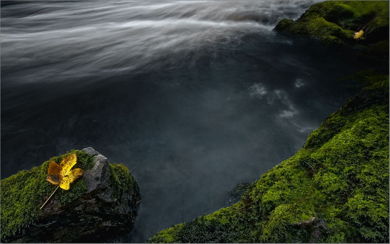 Stream
