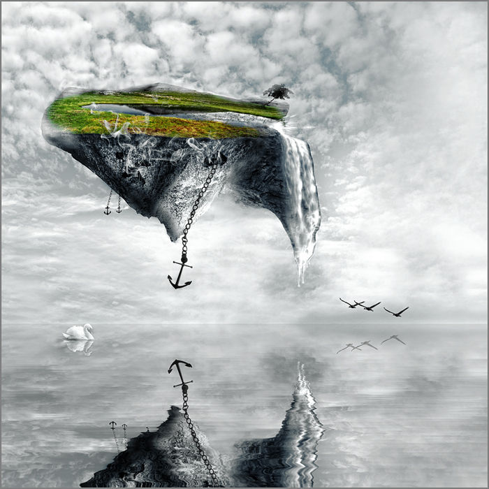The Search
