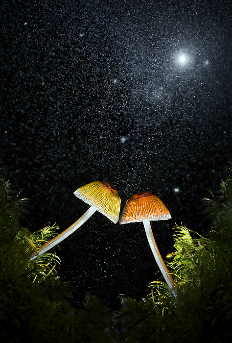 Under the stars