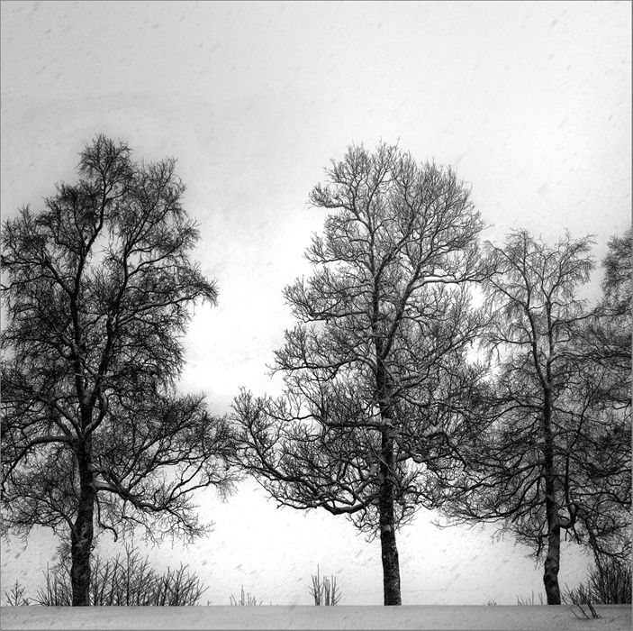 White Poetry