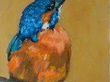 Kingfisher 1 - SOLD