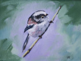 Long Tailed Tit SOLD