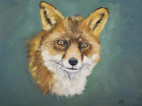 Fox - SOLD