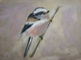Long Tailed Tit