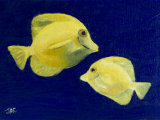 Yellow Fish