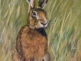 Brown Hare - SOLD