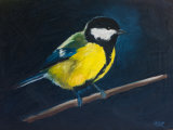 Great Tit 1 - SOLD