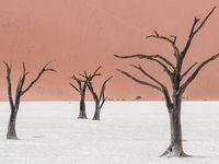 Namibia -7