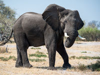 Botswana -10