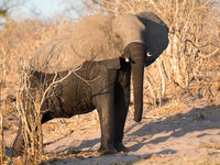 Botswana -7