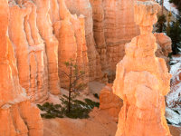 Bryce Canyon -1