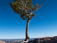 Bryce Canyon -7