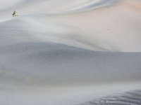 Death Valley -4