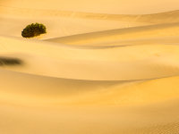 Death Valley -5