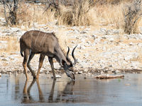 Namibia -19