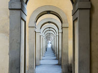 Florence -1