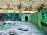 Georgia -8