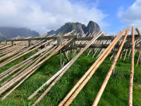 Lofoten -10