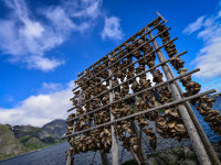 Lofoten -11